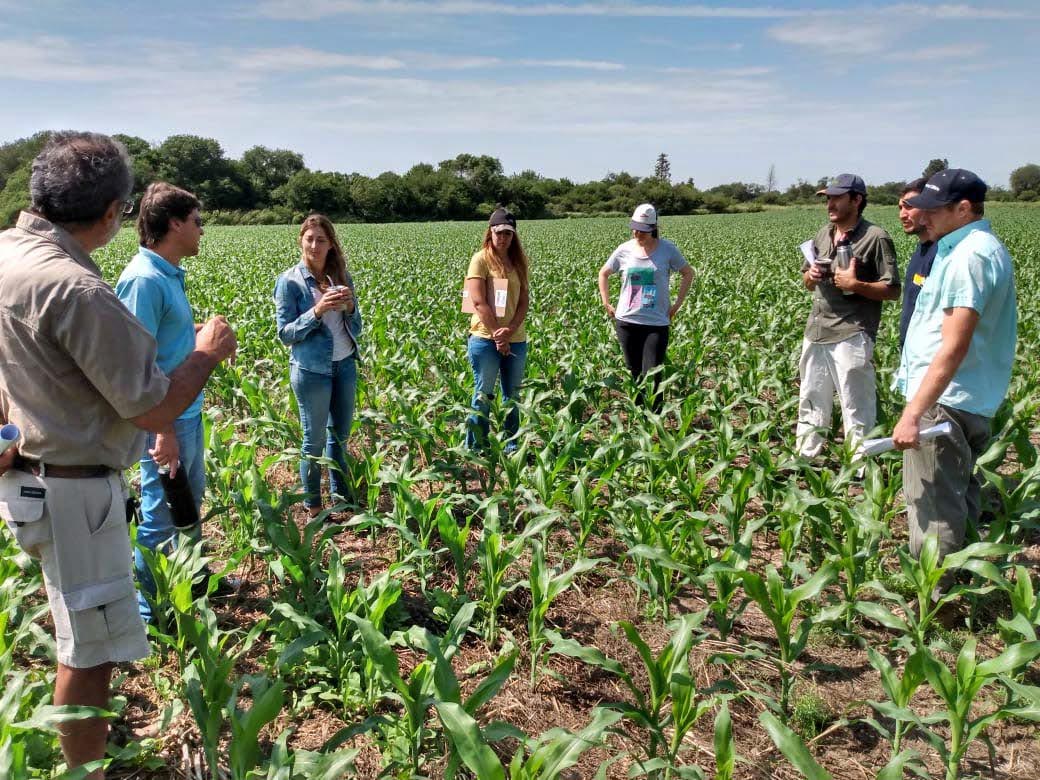 Producción de soja y maíz bajo agroecología en el norte de Córdoba